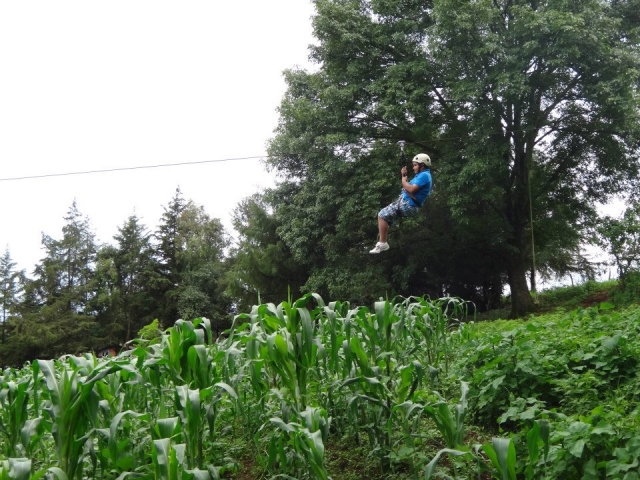  飞越乡村
